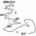 仕事に成長を求めてはいけない。天職を見つけよう。